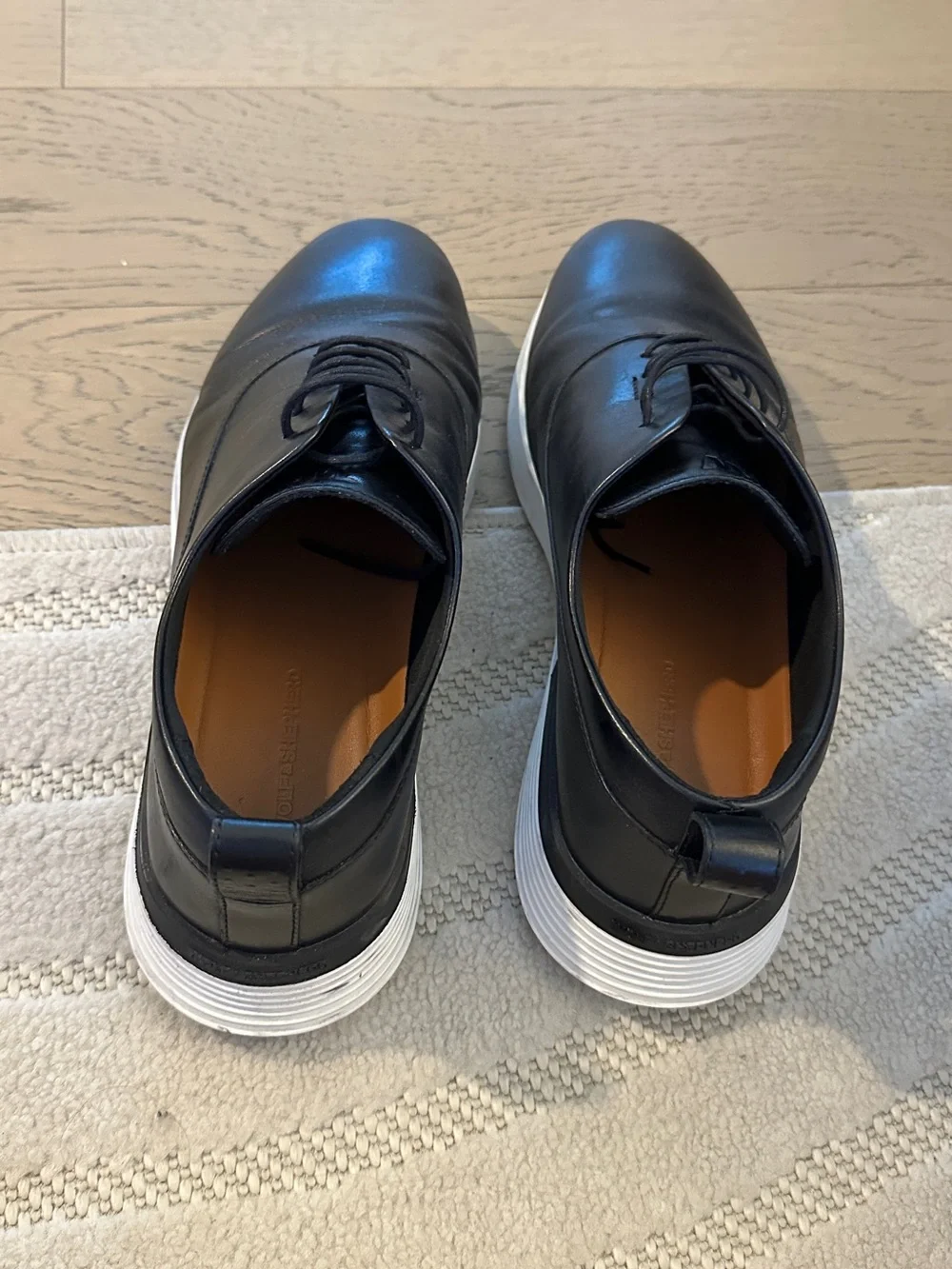 Wolf and Shephered sleek black